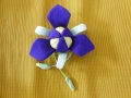 DSCN3358_s.jpg